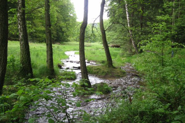 Naturparkplan