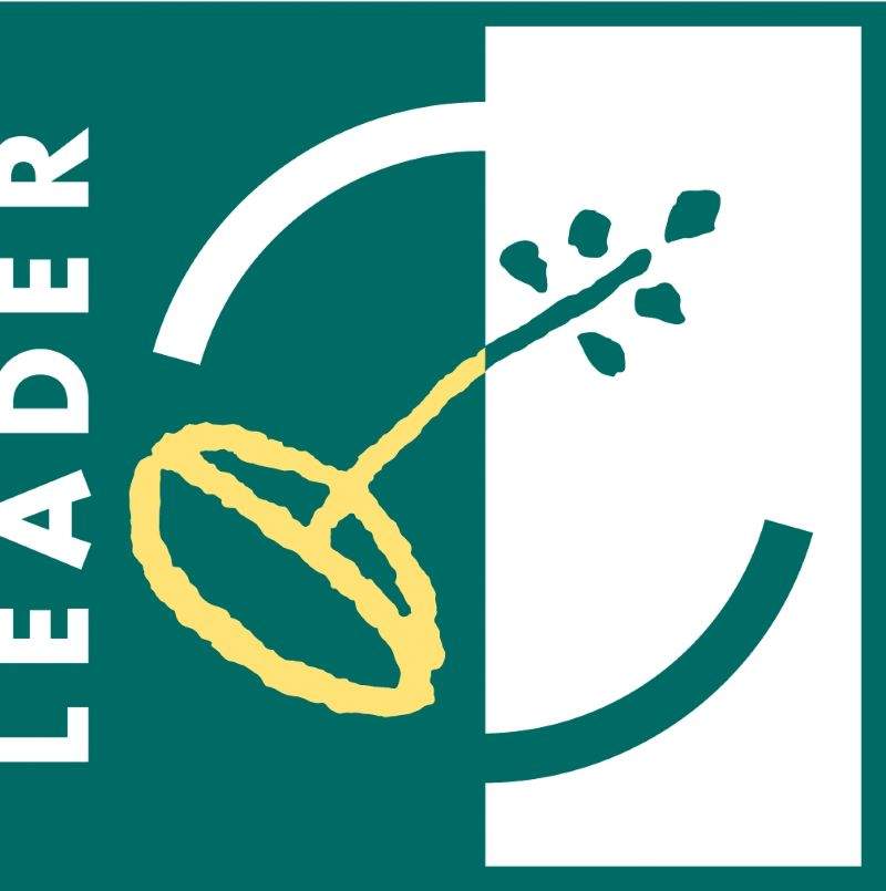 Leader logo 07 13