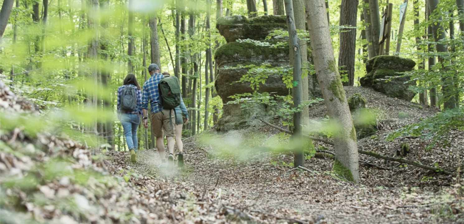 Wandern im Spessart