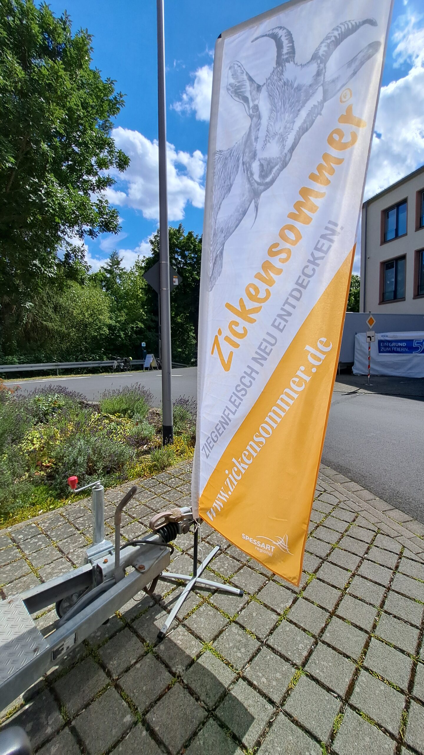 zickensommer-2024-50-jahre-mkk-04 Zickensommer 2024 50 Jahre Mkk 04