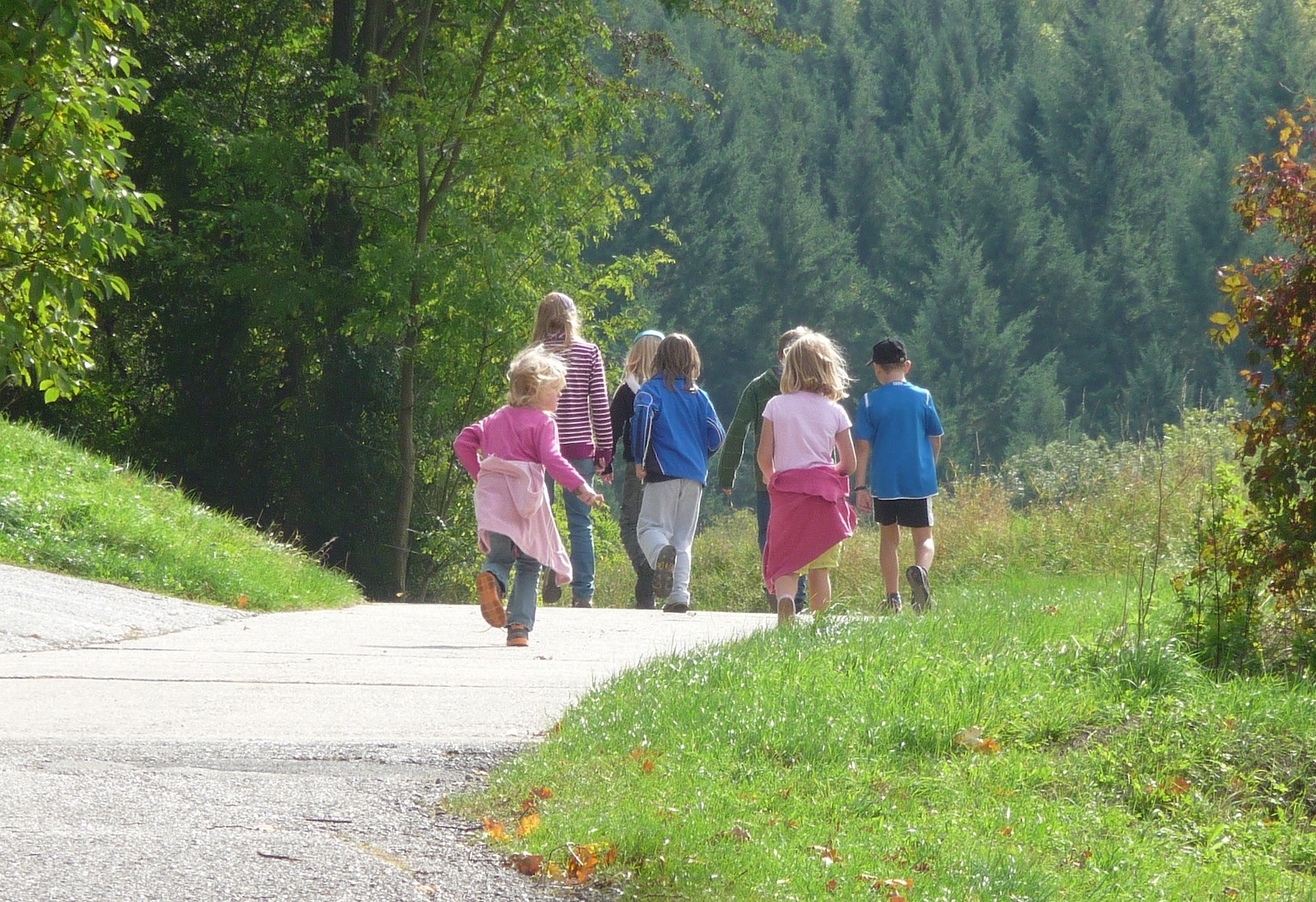 7 Kinder spazieren auf einem Feldweg umgeben von Wald